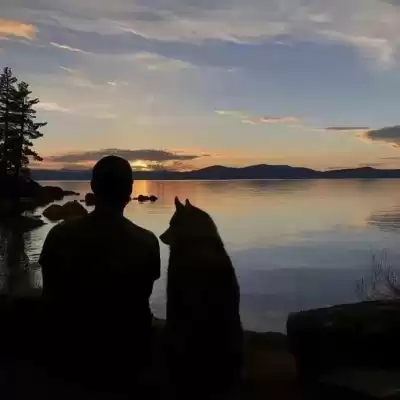 沈忆山